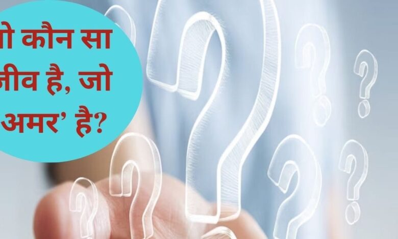 क्या आप जानते हैं दुनिया का एकमात्र अमर प्राणी कौन सा है? यह मौत से कैसे बच जाता है? जानिए...