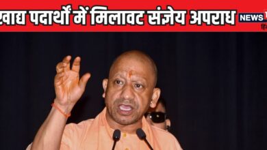 खानपान की चीजों में मिलावट पर CM योगी सख्त, जल्द आएगा कड़ा कानून, नहीं मिलेगी जमानत