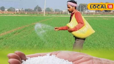 तिलहनी और दलहनी फसल के लिए बेहतर है यह खाद, डीएपी से भी है सस्ता