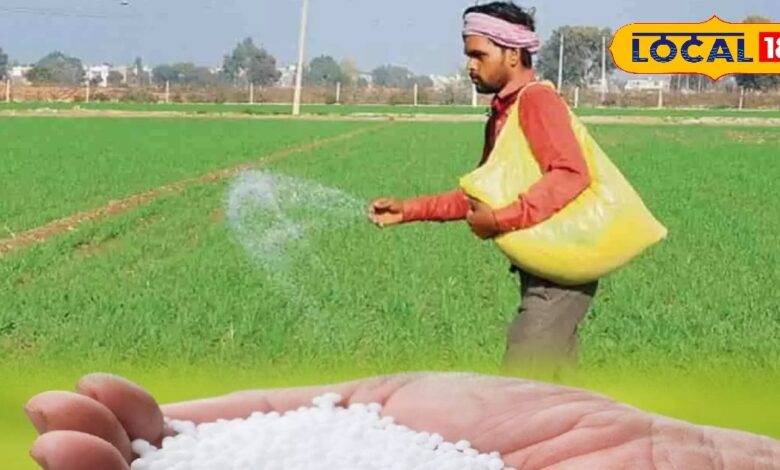 तिलहनी और दलहनी फसल के लिए बेहतर है यह खाद, डीएपी से भी है सस्ता