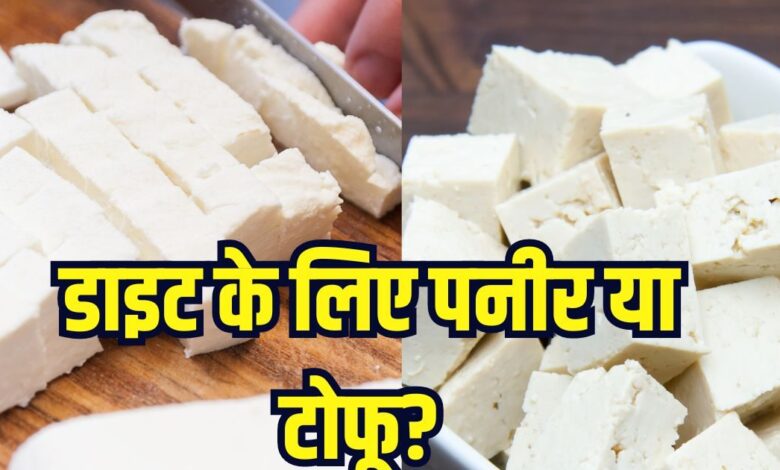 पनीर और टोफू में कौन ज्यादा फायदेमंद? अक्सर एक समझते हैं लोग, वेट लॉस के लिए यह बेस्ट