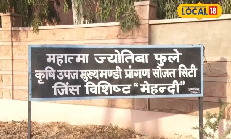 पाली: सोजत की हर्बल मेहंदी को मिला जीआई टैग, वैश्विक बाजार में बढ़ा सम्मान