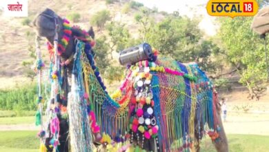 सुंधा माता मंदिर: श्रद्धा और रोमांच का संगम, ऊंट की सवारी बनी खास आकर्षण