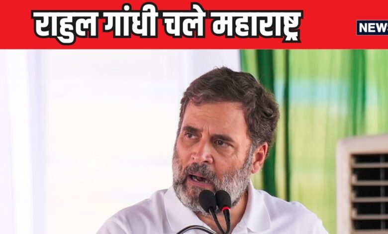 हरियाणा चुनाव का प्रचार खत्म होते ही, इस मिशन में जुटे राहुल गांधी, कांग्रेस को लोकसभा में मिली थी बड़ी उम्मीद