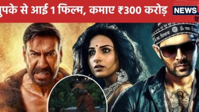 'सिंघम अगेन'-'भूल भुलैया 3' के बीच चुपके से आई 1 फिल्म, छाप दिए ₹300 करोड़