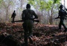 10 Maoists Killed In Encounter With Security Forces In Chhattisgarh