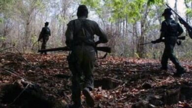 10 Maoists Killed In Encounter With Security Forces In Chhattisgarh