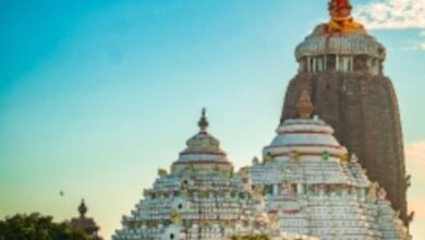 Archaeological Body Tasked To Repair Cracks On Jagannath Temple Wall