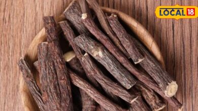 Mulethi root and powder benefits in winter liquorice powder for cough and cold treatment – News18 हिंदी