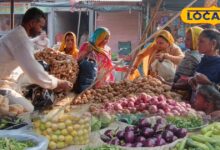 winter-dish-will-be-tasty-in-lesser-cost-due-to-cheaper-vegetable-price-in-mandi – News18 हिंदी