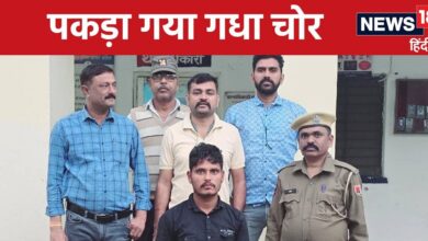 राजस्थान पुलिस ने आखिरकार ढूंढ निकाले चुराए गए 9 गधे, 12 दिन से चला रखा था सर्च ऑपरेशन