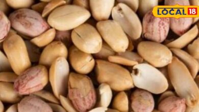 Poor Man's Almonds : ये है गरीबों का बादाम, इसे खाने के हैं कई फायदे, हृदय के लिए रामबाण