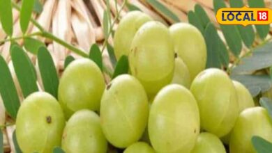 Benefits of Amla makes bones strong Panacea for hair skin heart kidney treatment – News18 हिंदी