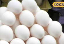 Egg Prices rise: सर्दी बढ़ते ही अंडे की बढ़ी खपत, कीमत में भी आई उछाल, जानें क्या चल रहा रेट