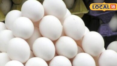 Egg Prices rise: सर्दी बढ़ते ही अंडे की बढ़ी खपत, कीमत में भी आई उछाल, जानें क्या चल रहा रेट