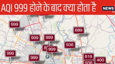 Explainer: अगर AQI का लेबल 999 हो गया तो फिर क्या होगा, इसके आगे स्केल क्यों नहीं