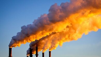 Global Fossil CO2 Emissions Hit Record High in 2024: Here