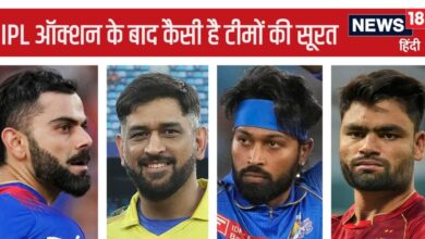 IPL All Team Squad: चेन्नई-मुंबई और एसआरएच ने बनाई मजबूत टीम, आरसीबी की हालत पतली, केकेआर ने जोड़े पुराने साथी...