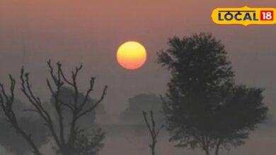 Jaipur Weather Update: IMD has issued heavy fog alert in these districts, know how will be the weather of Rajasthan in the coming days