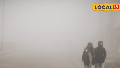 Karauli AQI: भिवाड़ी के बाद करौली की हवा हुई जहरीली, 300 के पार पहुंचा AQI, लोगों का घुट रहा दम