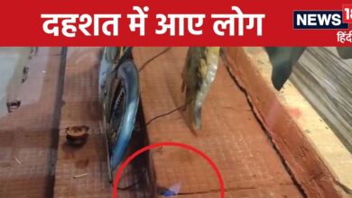 Kota News: कोटा में दिवाली पर यह क्या हो गया? जलाए तो थे दीपक और जमीन से निकलने लगी आग