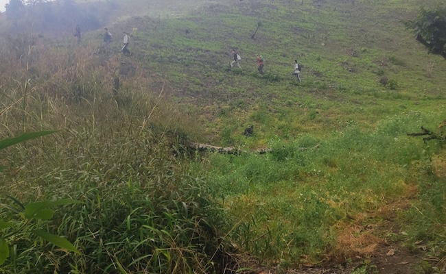 Manipur Cops Walk 3 Hours To Raze Illegal Poppy Farms, Face '90 Armed Miscreants', Turn Back: FIR