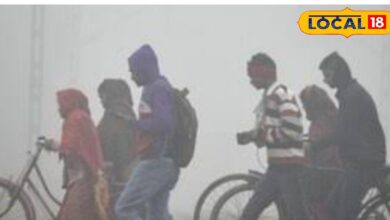 Rajasthan Weather: राजस्थान में कड़ाके की ठंड पड़नी शुरू, सर्द हवाओं ने ठिठुराया; IMD ने जारी किया अलर्ट