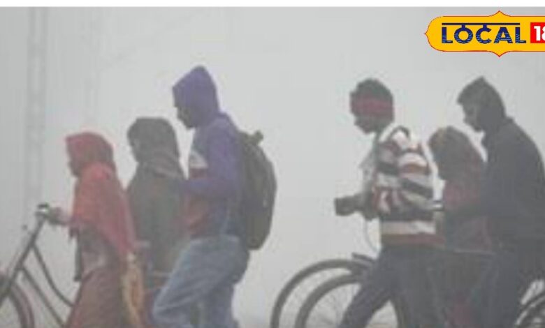 Rajasthan Weather: राजस्थान में कड़ाके की ठंड पड़नी शुरू, सर्द हवाओं ने ठिठुराया; IMD ने जारी किया अलर्ट