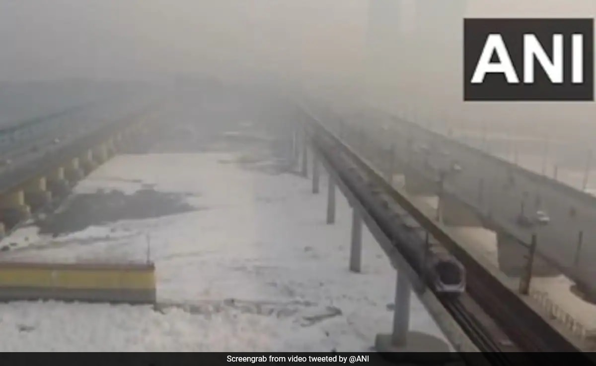 Video: Toxic Foam On Yamuna In Delhi Raises Concern As Chhath Puja Begins