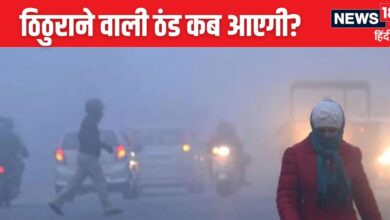 Weather update: सड़कों पर नहीं दिख रहा इंसान, पूरी दिल्ली कोहरे में समाई, 5 दिन में कड़ाके की ठंड, जानें मौसम का हाल