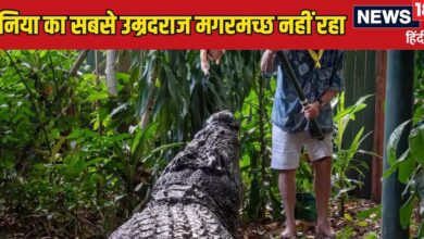 World largest crocodile: 110 साल तक रहा जिंदा, नाम थे कई खास रिकॉर्ड... अब नहीं रहा दुनिया का सबसे बड़ा मगरमच्छ