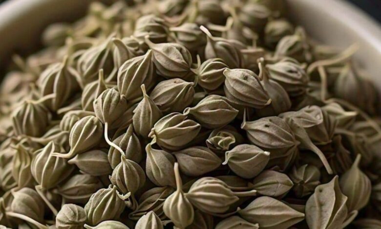 ajwain benefits for health immunity cholesterol cough pain relief and more sa – News18 हिंदी