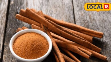 benefits of dalchini or cinnamon for cancer treatment of fever swelling common cold and vomiting – News18 हिंदी