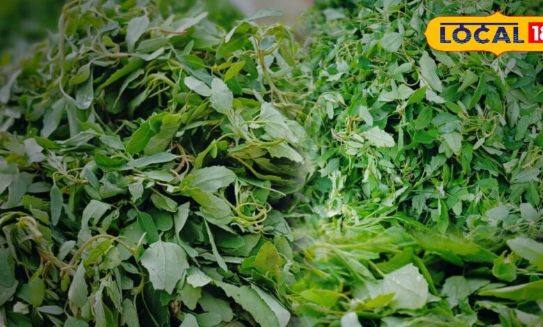 delicious-vegetable-bathua-saag-available-for-a-very-short-period-once-in-a-year - News18 हिंदी