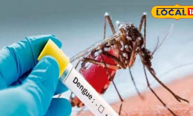 dengue-and-chikungunya-haunts-jaipur-people-more-than-700-cases-coming-daily-in-hospitals - News18 हिंदी