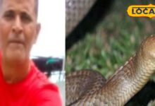 learned-snake-capturing-on-mobile-and-bablu-rescued-more-than-1200-snakes - News18 हिंदी