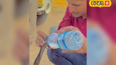 meet-ramesh-who-has-rescued-thousands-of-snakes-reaches-on-rescue-site-on-a-single-phone-call - News18 हिंदी