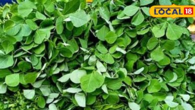 methee saag ke phaayade Fenugreek greens vegetable is miraculous medicine for diabetes patients and many diseases – News18 हिंदी