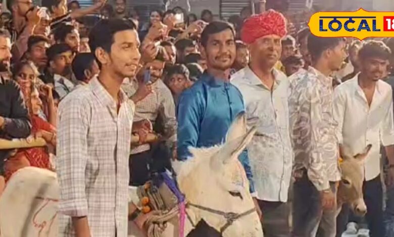इस गांव में गधों का भी आता है दिन! 60-70 सालों से दुल्हन की तरह सजाकर की जाती है पूजा, जानें क्यों