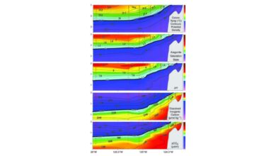 Ocean Acidification Study: Carbon Emissions Driving Deeper Chemical Changes in Oceans