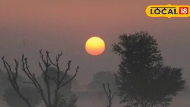 Jaipur Weather Update : जल्द ही राजस्थान में पड़ेगी हाड़ कंपाने वाली ठंड, कश्मीर की बर्फबारी का होगा असर