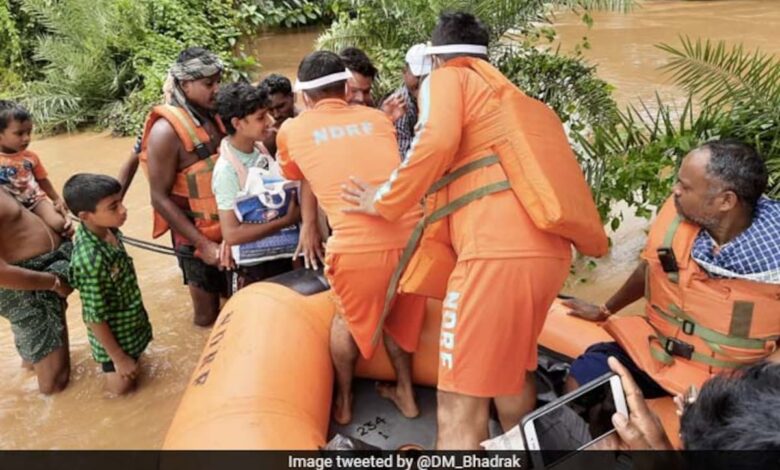 Snakebites, Natural Disasters Claimed 10,300 Lives in Odisha In 3 Years: Minister