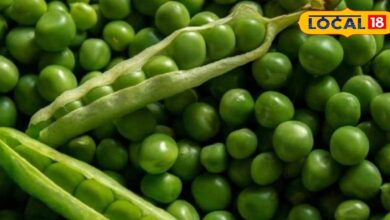 Health Benefits of Peas benefits of eating peas treasure trove of health Controls blood pressure and boosts immunity