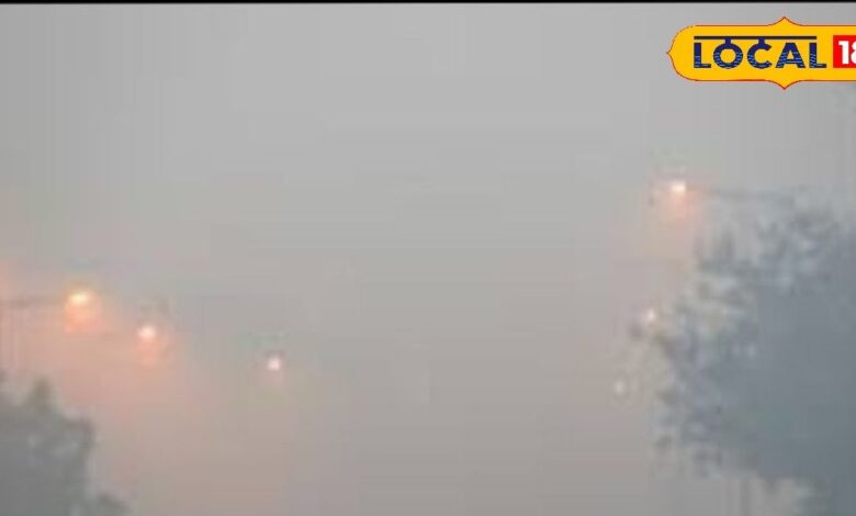Jaipur Weather Update: राजस्थान में -0.1 डिग्री पहुंचा तापमान, IMD ने इन जिलों में जारी किया शीतलहर का अलर्ट