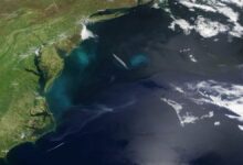 Study Warns Saltwater Intrusion Threatens Global Coastal Groundwater by 2100