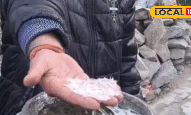 लगातार 6 दिन से शेखावाटी में जमाव बिंदु पर पारा, खेतों में जम रही बर्फ, बाजार में छा रहा सन्नाटा, IMD ने जारी किया ये अलर्ट