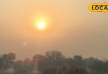 Sikar Weather: Increase in minimum temperature of Shekhawati, some relief from severe cold, weather will change in new year