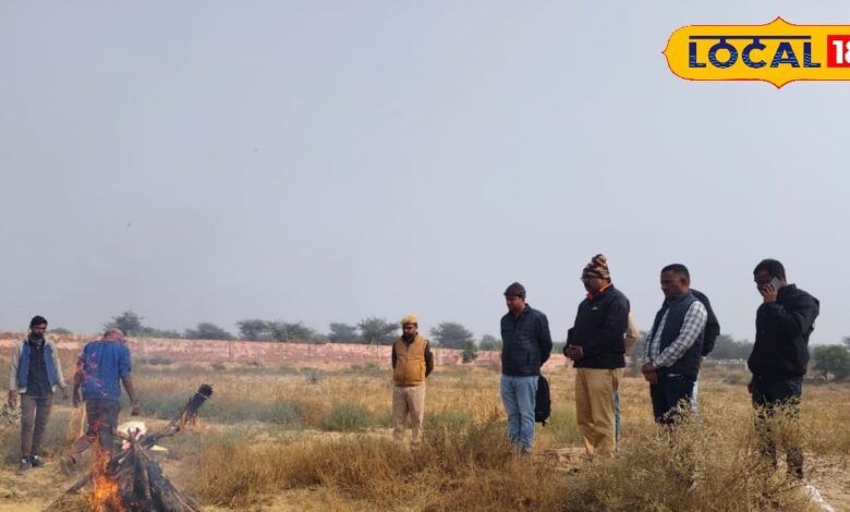 Peacock Death: मोर के मरने से हाई अलर्ट पर बीकानेर वन विभाग, मौत की असली वजह जानकार हो जाएंगे हैरान