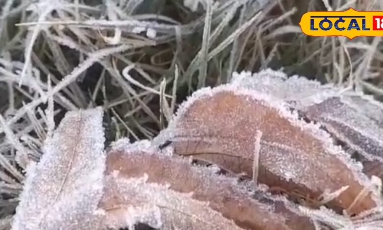 Sikar Weather: शेखावाटी के मौसम ने ली करवट, बारिश का अलर्ट, जानिए आगे कैसे रहेगा मौसम