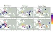 Study Reveals Genetic and Linguistic Roots of Indo-European Populations